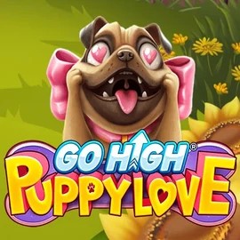 Go High Puppy Love game by RubyPlay – logo hosted on Goldenbet Casino
